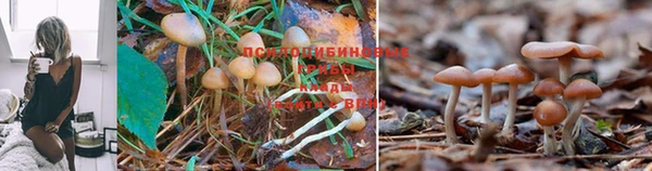 герыч Алексеевка