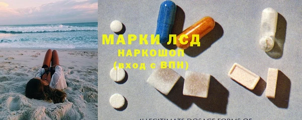 гидра Алзамай