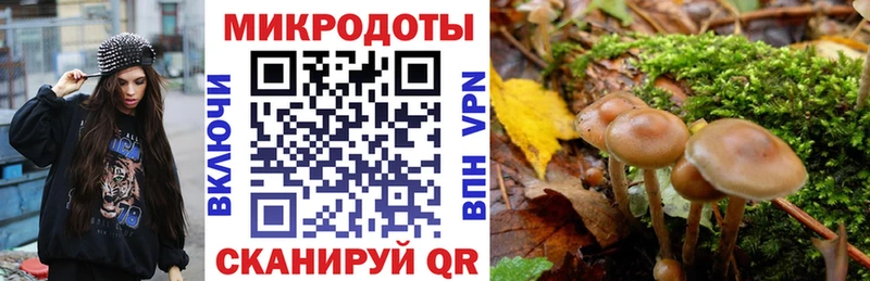 Псилоцибиновые грибы прущие грибы  купить наркотик  мега как зайти  Гуково 