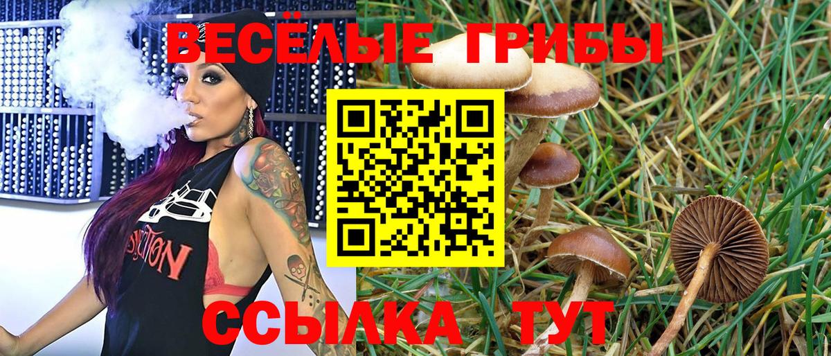 Галлюциногенные грибы Cubensis Гуково